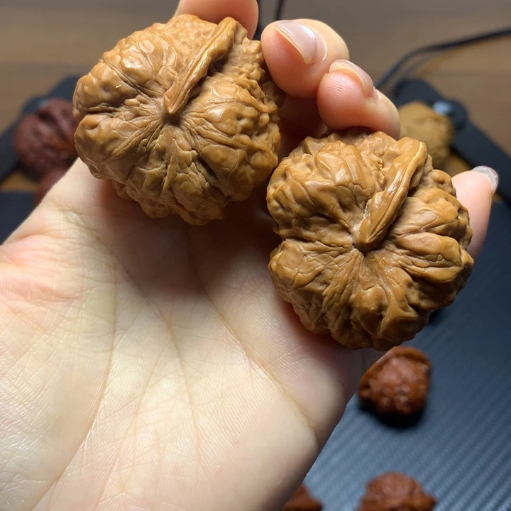 蛙蛙一帆风顺4222222