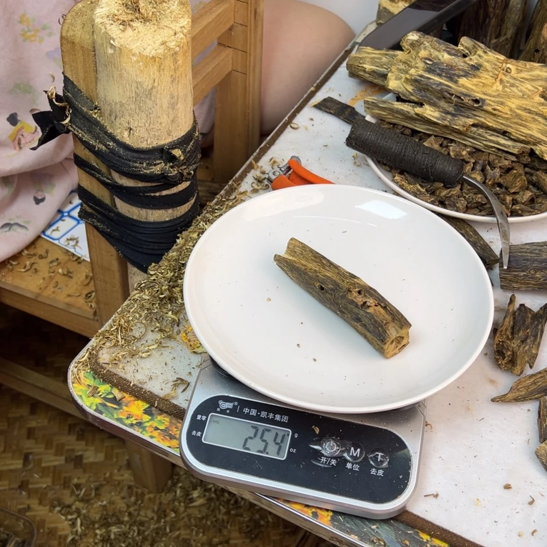 线香奇楠虫漏香25克