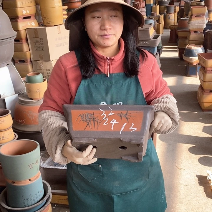 紫砂花盆盆栽花卉苗木种植