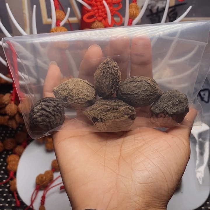水***生木质类龙纹桃枭籽