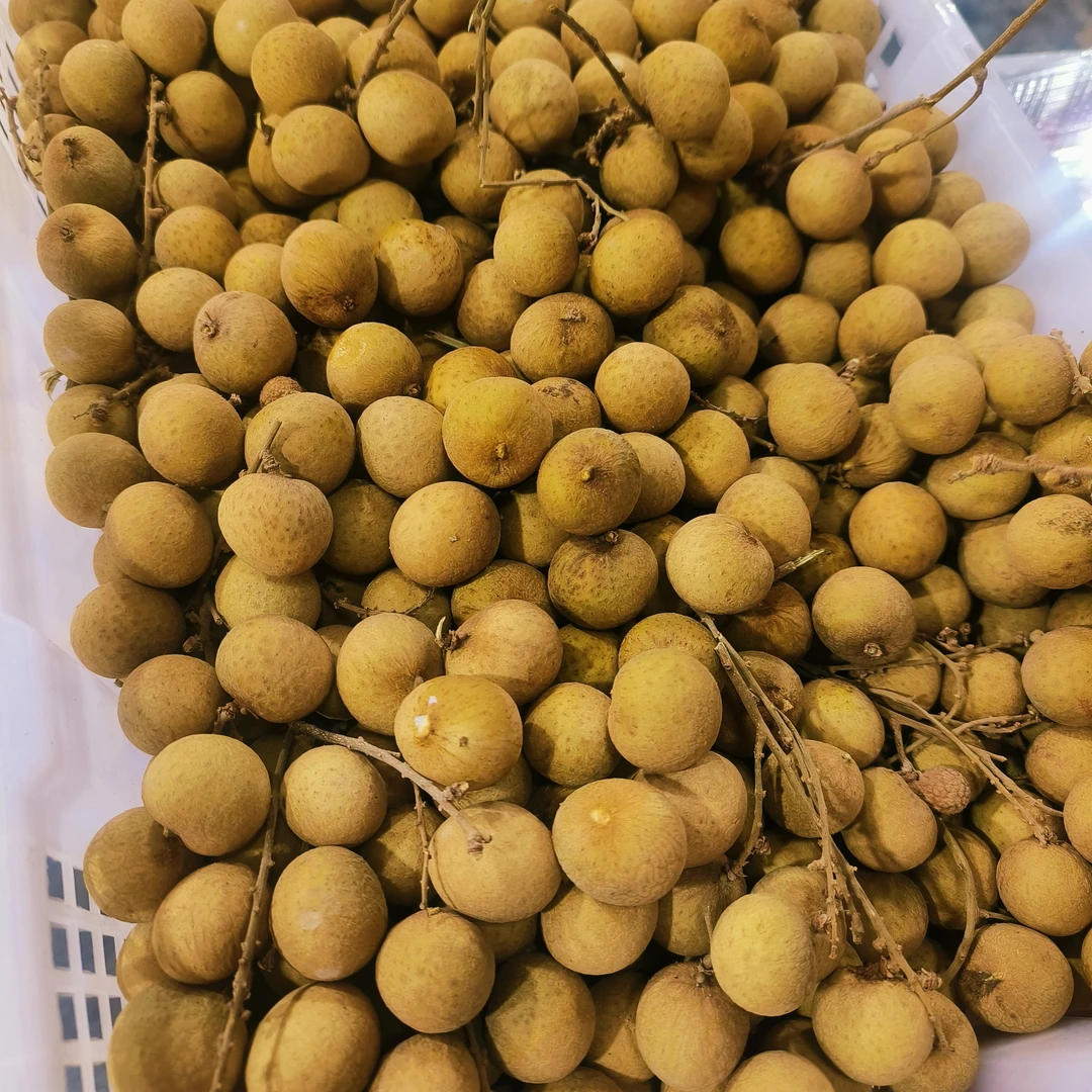 泰国龙眼两斤左右