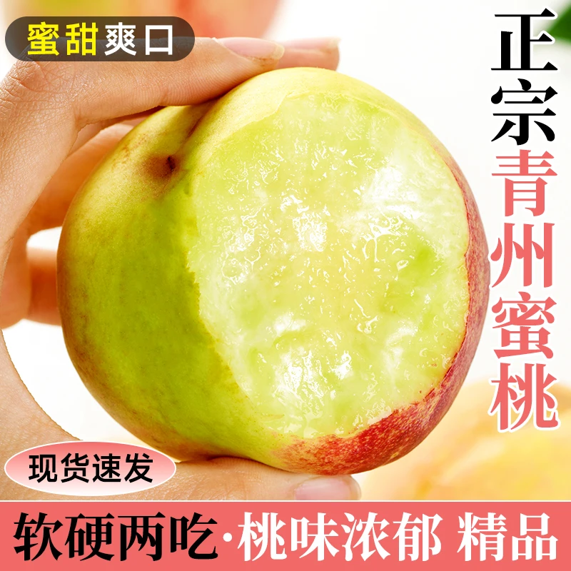 【果探官精选】正宗青州蜜桃脆甜桃子新鲜水果当季现摘山东冬雪蜜桃