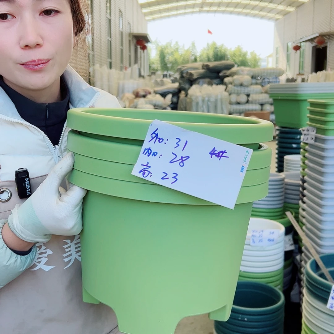 球根盆4#果绿5个无托