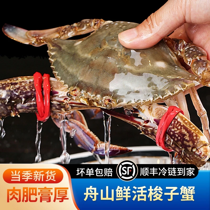 【保鲜不保活】舟山梭子蟹鲜活直发鲜活梭子蟹三斤大蟹4-6两 5-7只