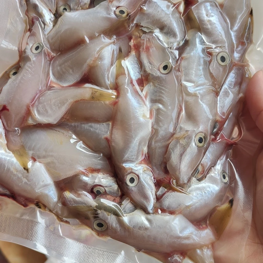潮汕照灯新鲜剥皮鱼