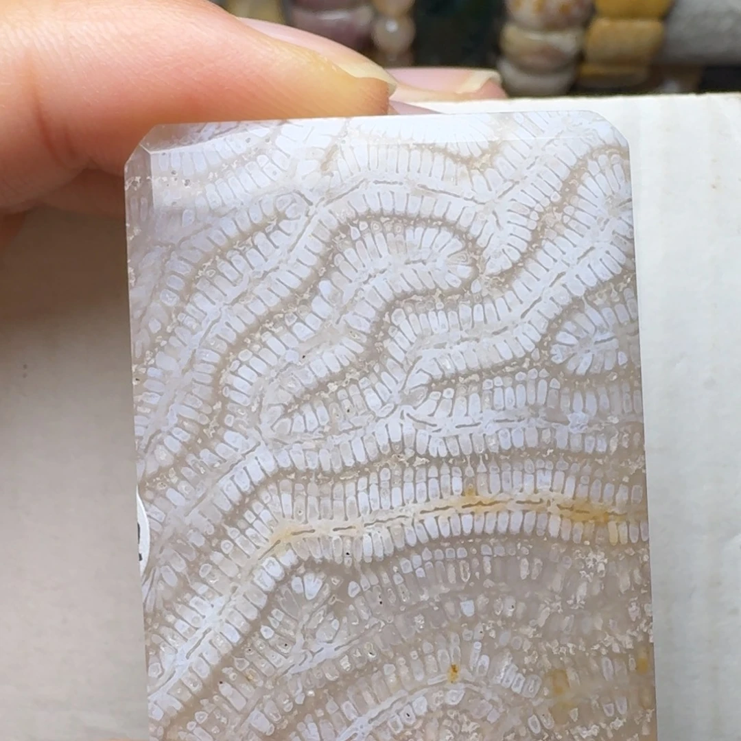 硅化玉未镶嵌白冰骨骼龙骨纹，黑点特价