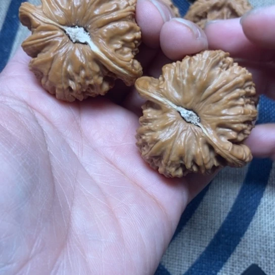 吊坠文玩核桃大白狮子