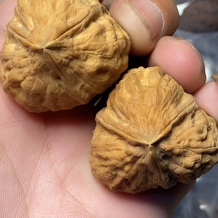 把件文玩核桃云南铁核桃B7