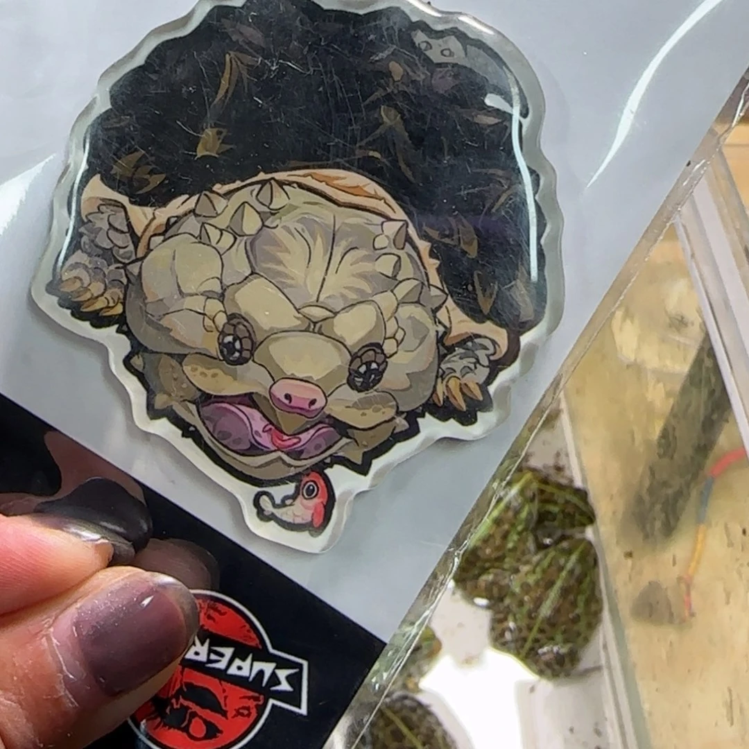 大龟龟冰箱贴中号