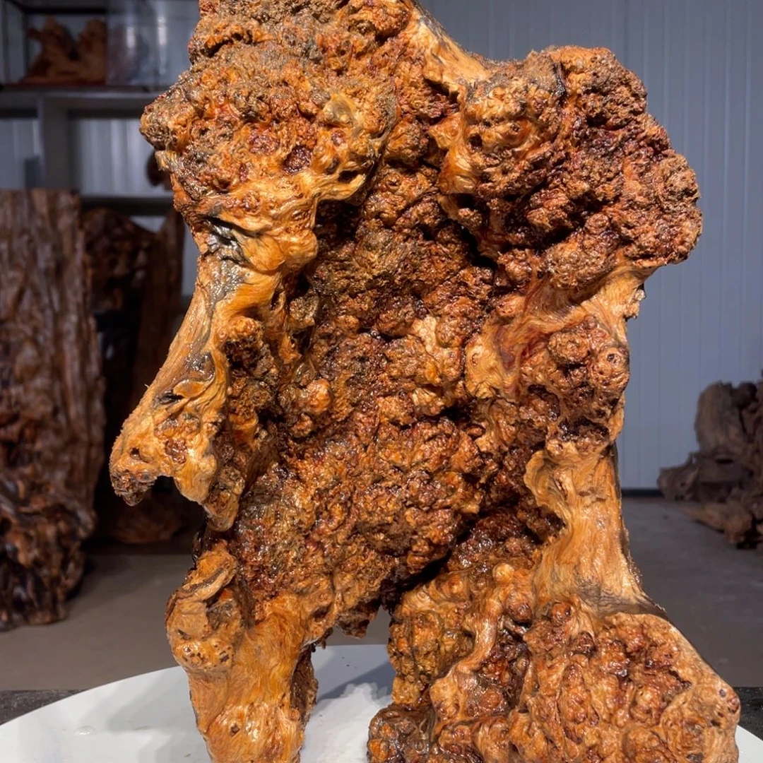 小***潘木猛子琥珀木摆件51