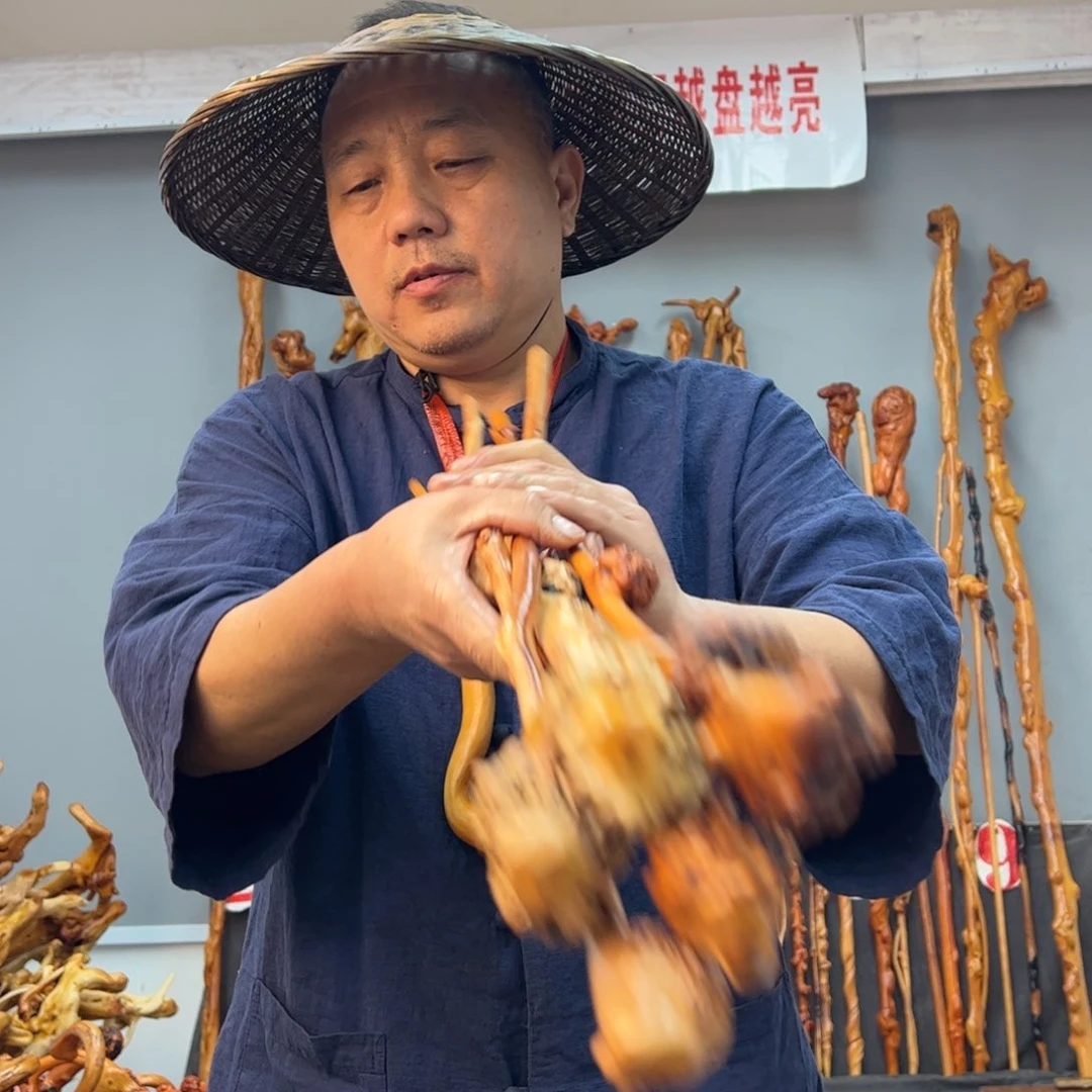 黑果木其他黑果木578