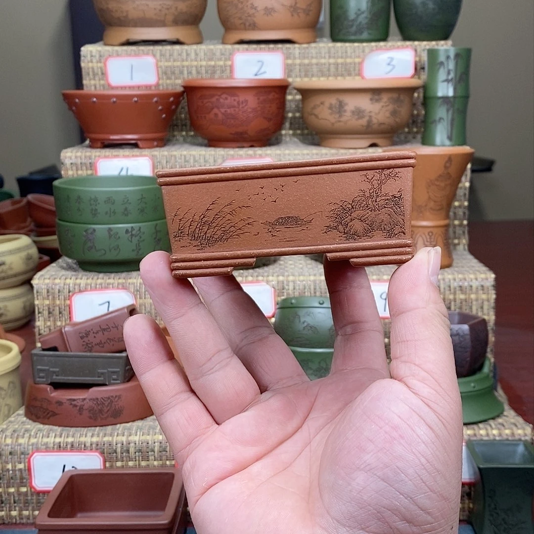 紫砂花盆我在等一
