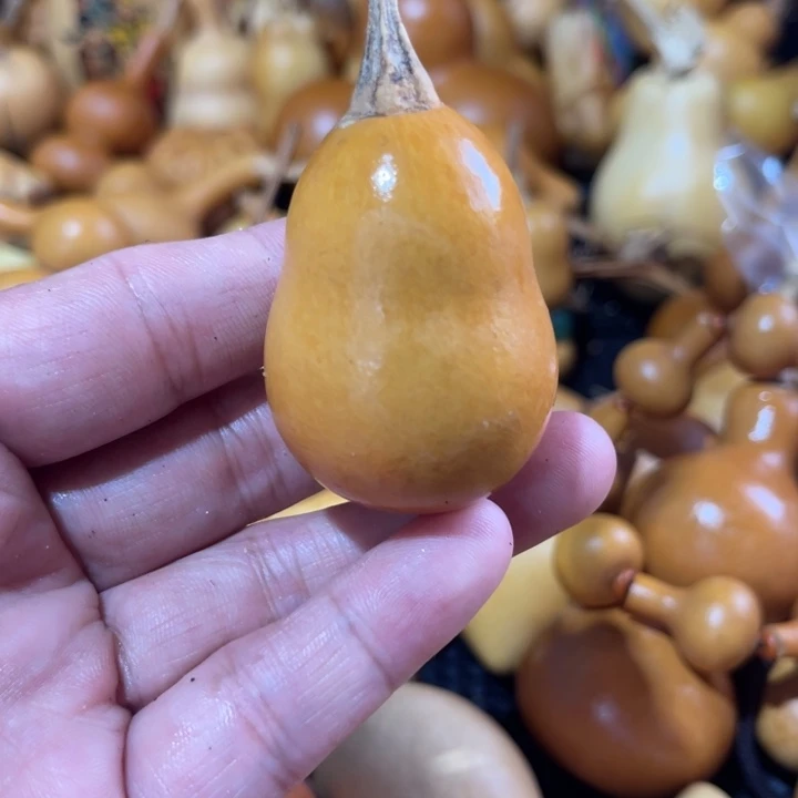 云*哥哥葫芦葫哈哈哈哈