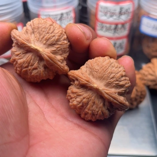 把件文玩核桃血麒麟43