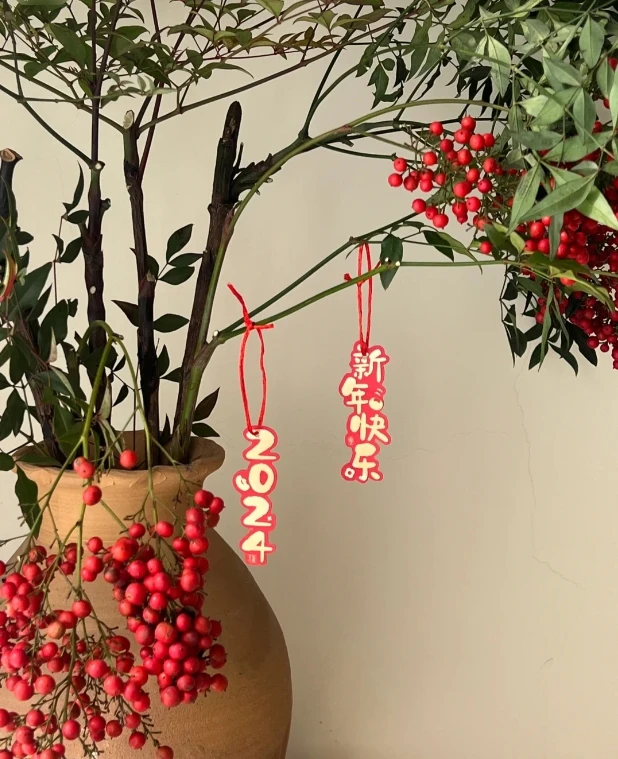 【懒人花材】南天竹果丨花期长丨耐养丨鲜花丨水培丨家居软装LL