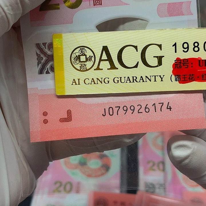 一张一张一张一张一张一张