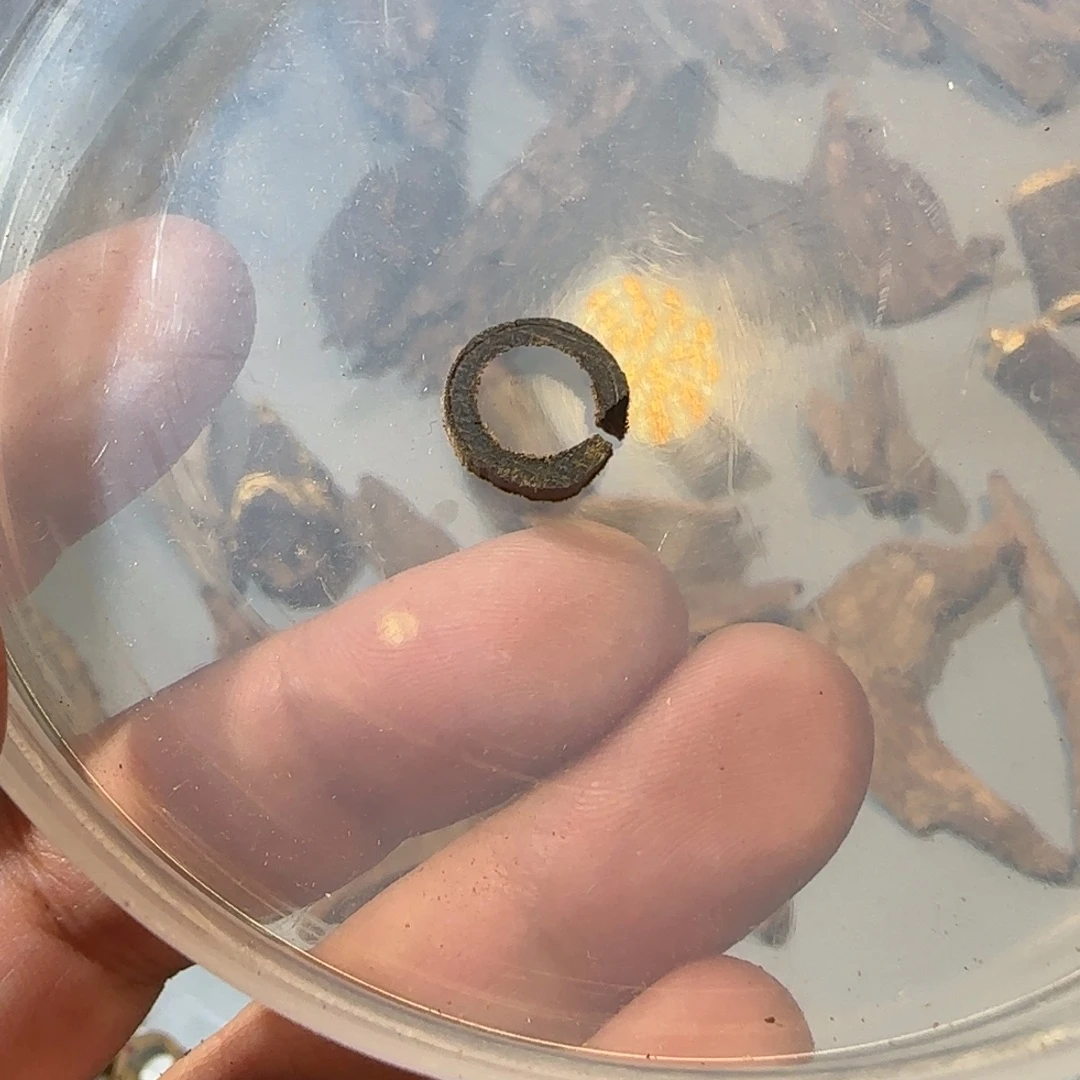 沉香沉香碎屑富森红土千年碳化伽罗沉水圈圈1个