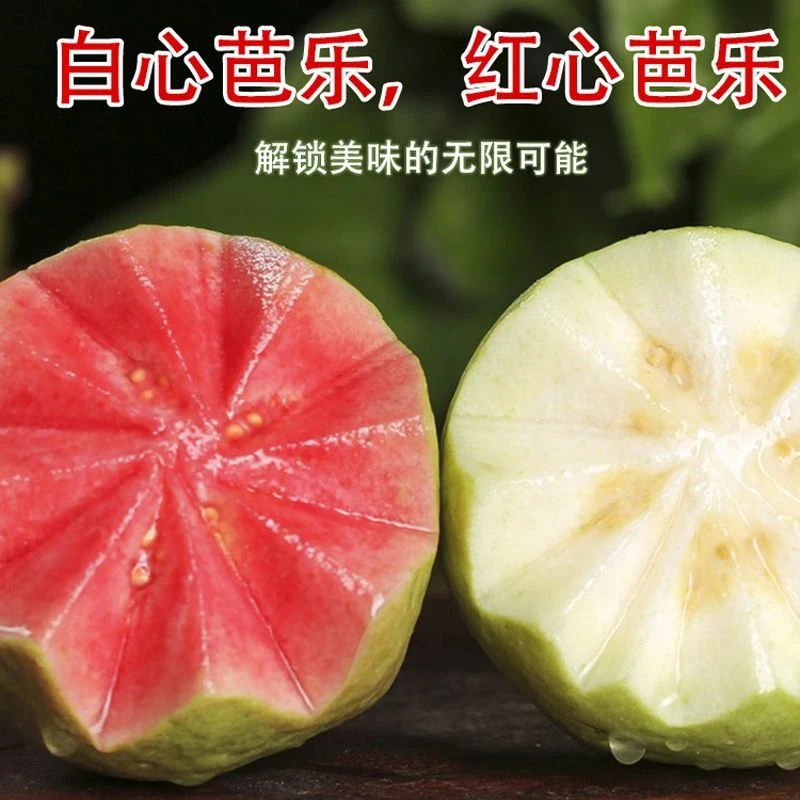 【双拼】红心芭乐+白心芭乐软糯香甜，低卡低脂，小糖人可吃，顺丰包邮福建省