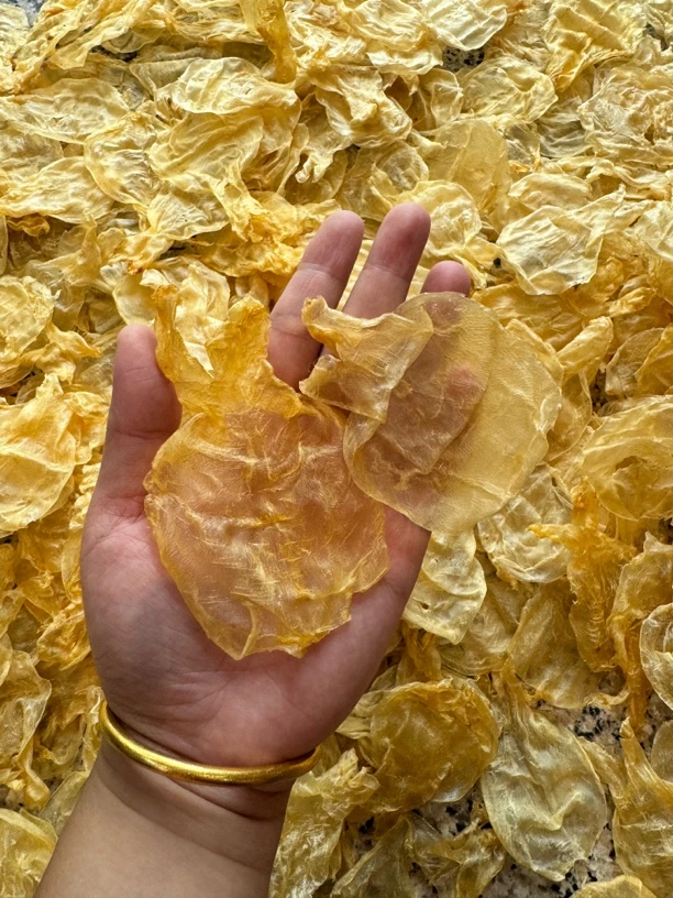 140头甲肚咸水黄花胶蜘蛛片鱼胶花胶