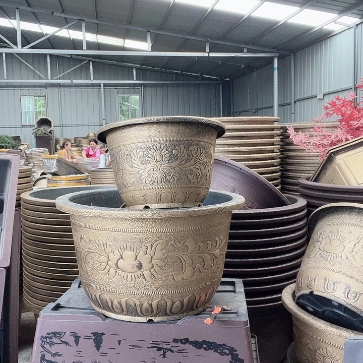 没糊咖直播带什么