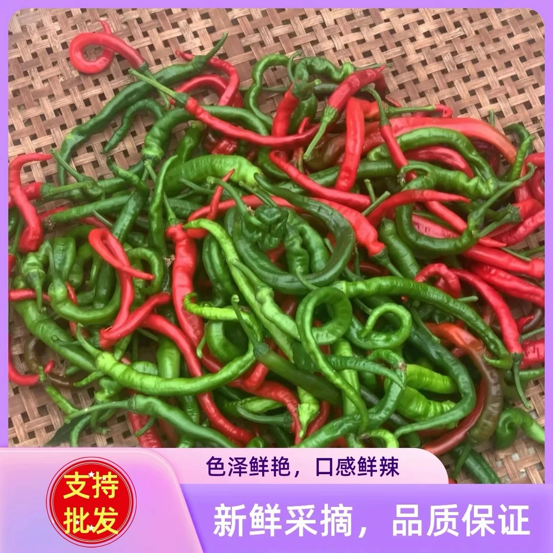 江西新鲜农家土辣椒青椒红椒特辣椒薄皮