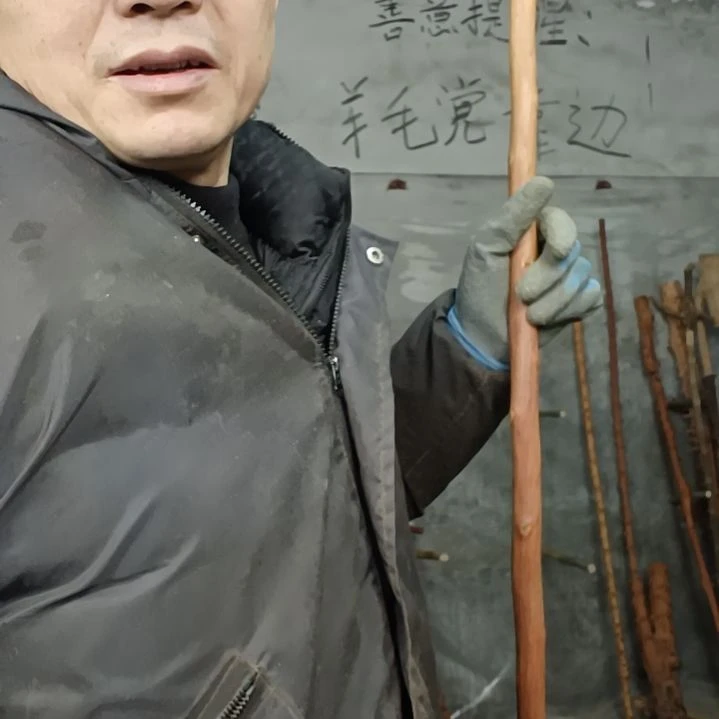 稳定木莲****心贵州檬子木   铁马鞭   根艺  半成品