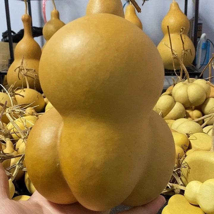 葫芦的颜色是蓝色的