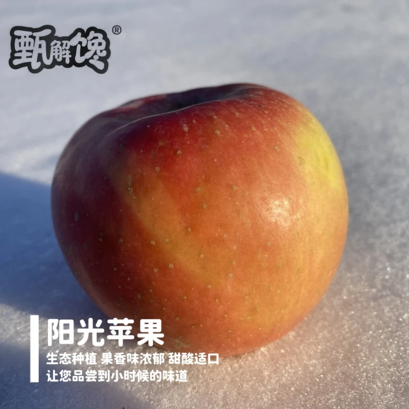 【甄解馋】健康0农残自有农场红富士苹果甜酸适口苹果味浓5斤包邮