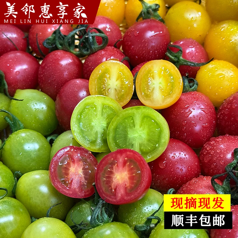 [顺丰直达]新鲜小番茄 红黄绿小番茄三色混发圣女果红绿灯小柿子