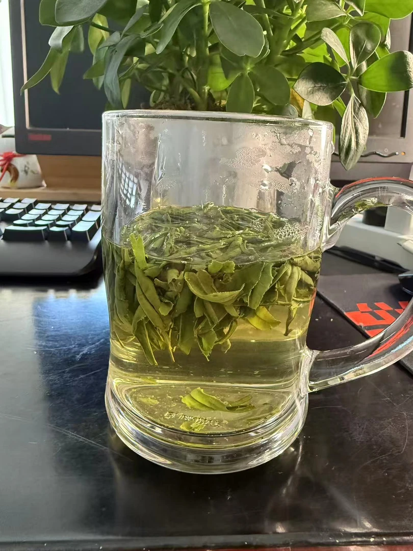 2025明前新茶六安瓜片中国唯一无芽无梗的绿茶