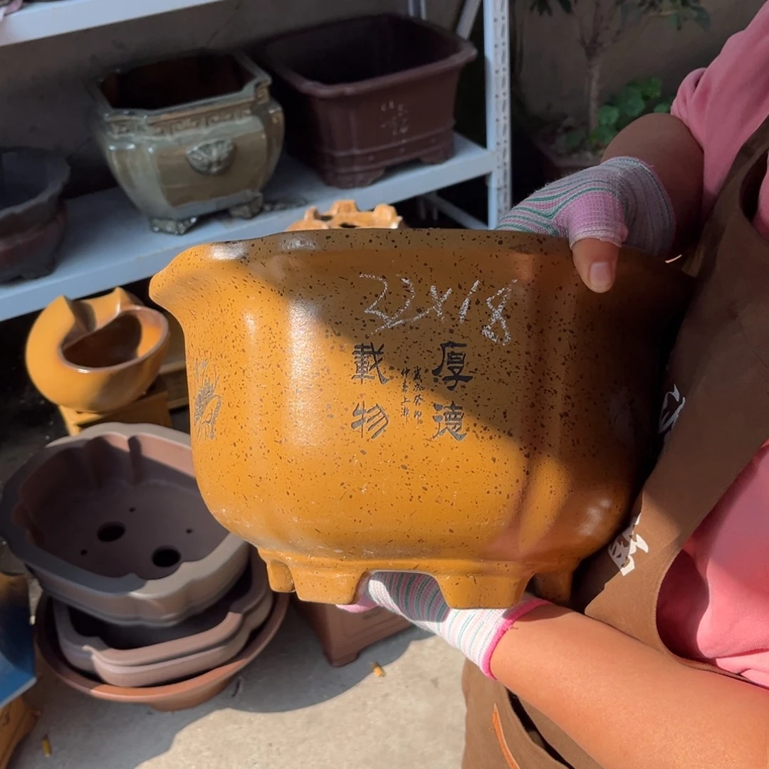 紫砂花盆盆景艺术