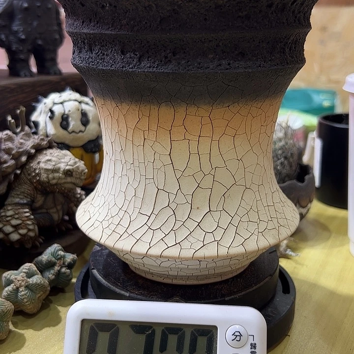 假**笑娇娇娇娇娇娇娇娇娇娇家