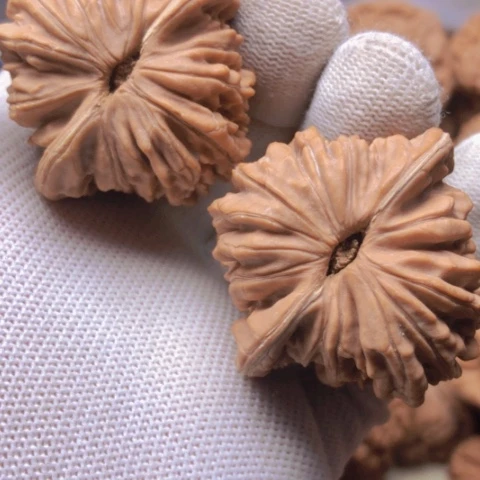 【闪购商品】桃核吊坠四座楼狮子头