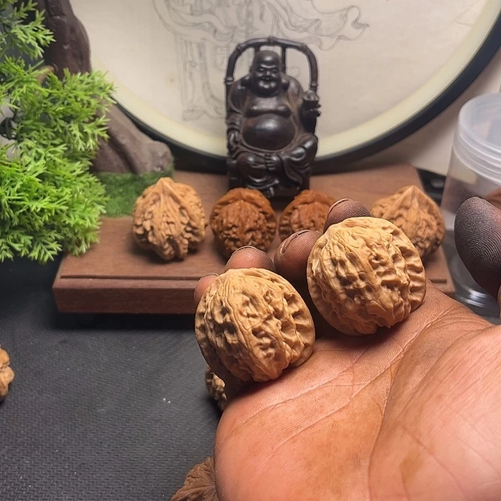 吊坠文玩核桃36野狼…………