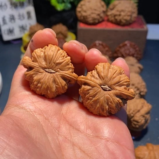 文玩核桃把件文玩白狮子37尺08