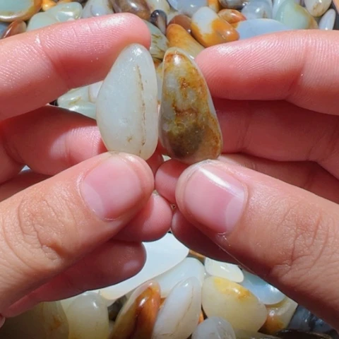 和田玉（糖玉）未镶嵌颈饰2-1，5克，6克