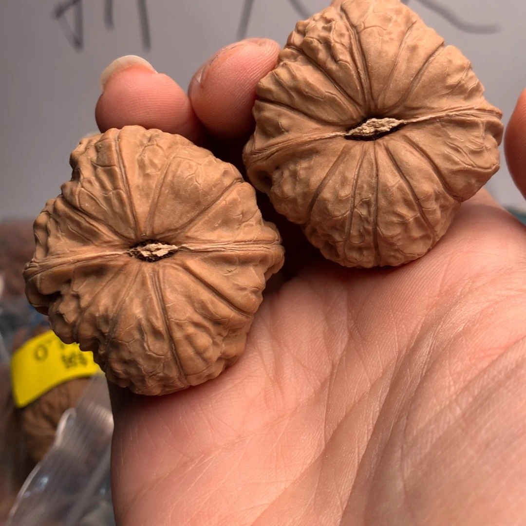 学***弃南瓜142颗枸杞米粒子