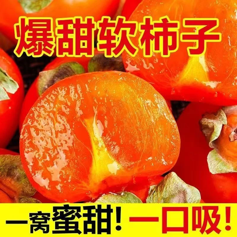 精品火晶软甜柿子树优质现挖发原土球 一物 一拍