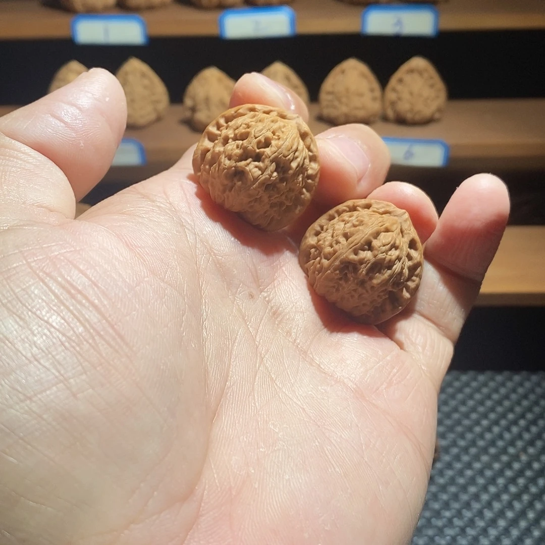 文玩核桃把件30尺寸白狮子文玩核桃