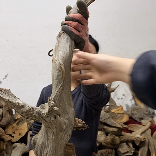 用***8柏木我们都是好孩子