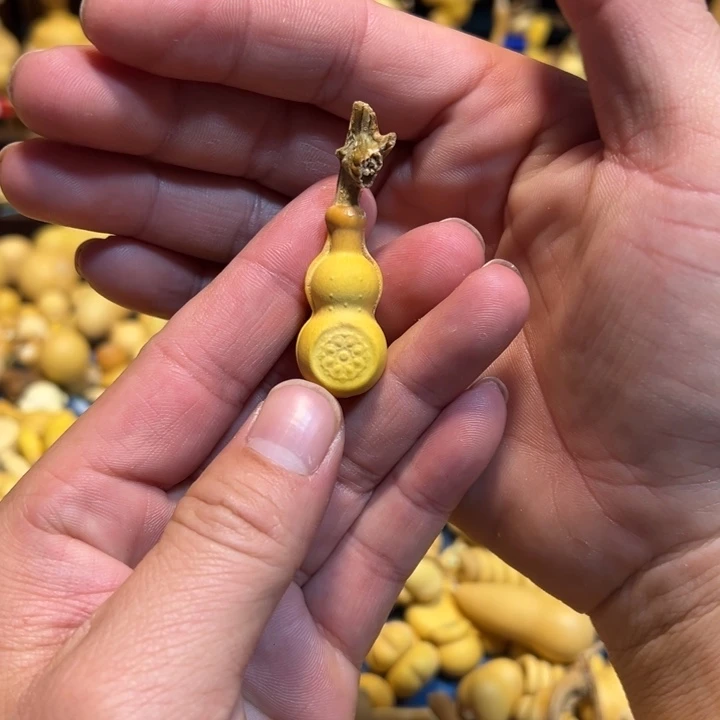 瓶子繁殖突突突突突