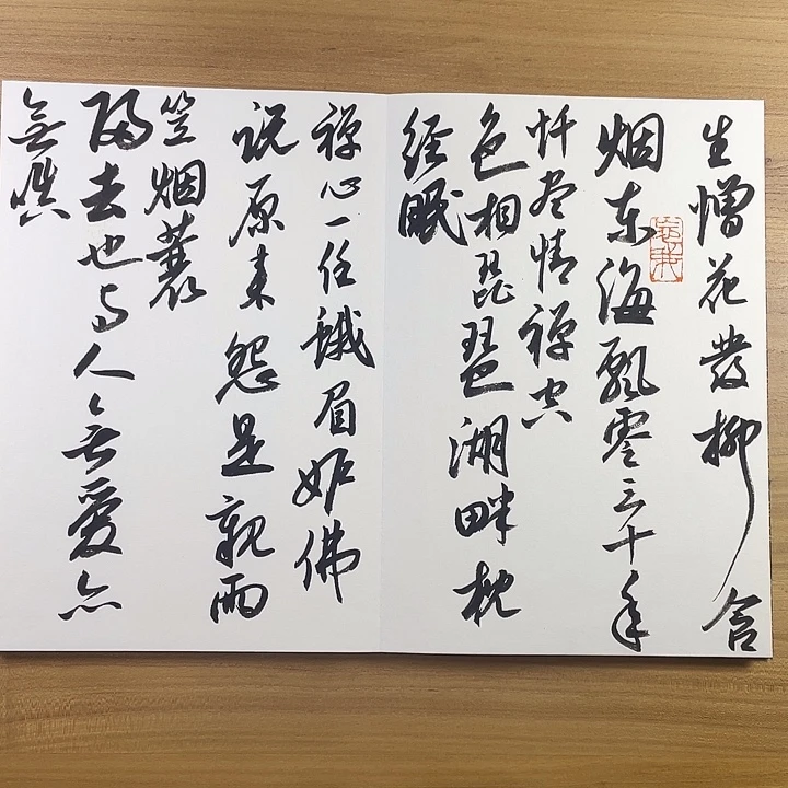 书法中书协会员作品