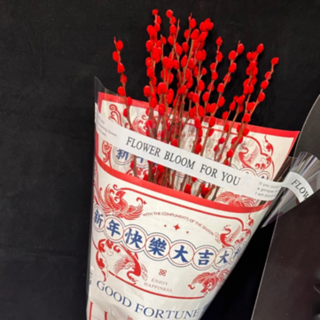 新年银柳新年银留