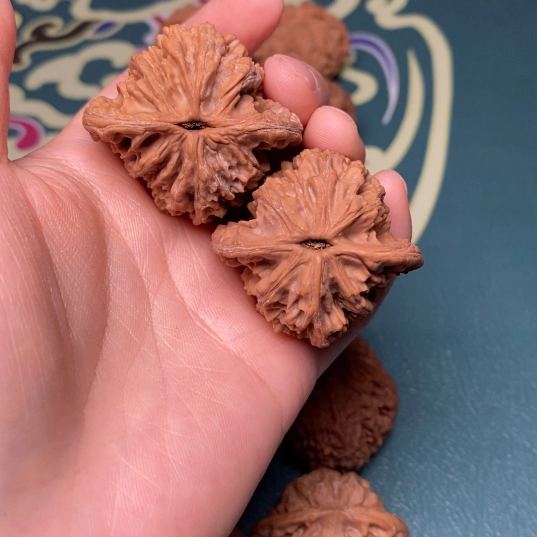核桃41尺全品麦穗虎头