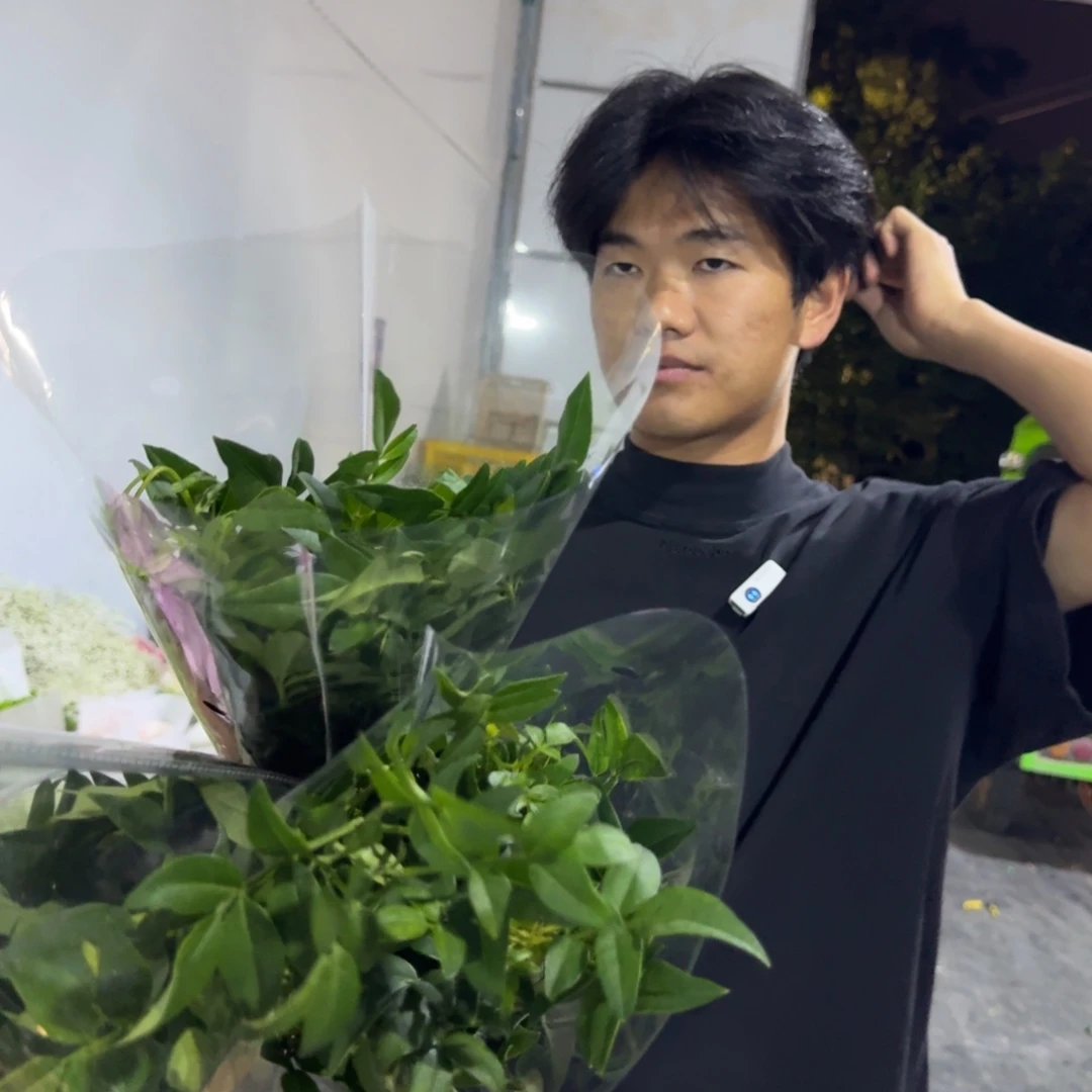 九星叶3扎包邮价秒杀