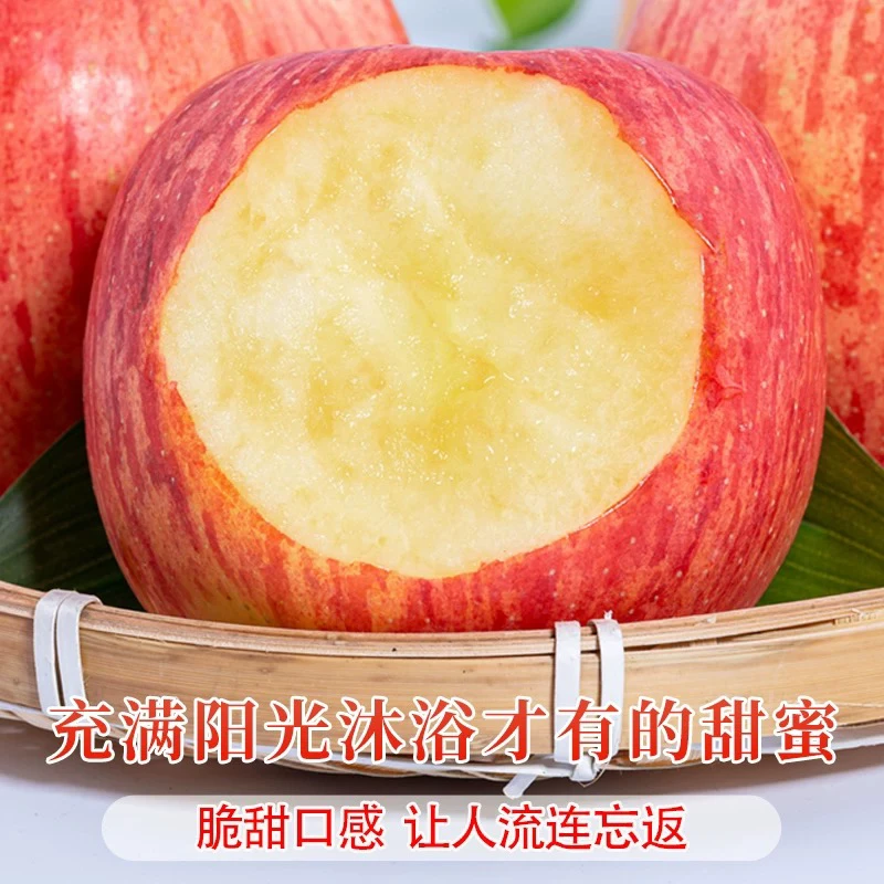 脆甜新鲜多汁水果冰糖新年水果烟台正宗红富士苹果蛇果产地直发