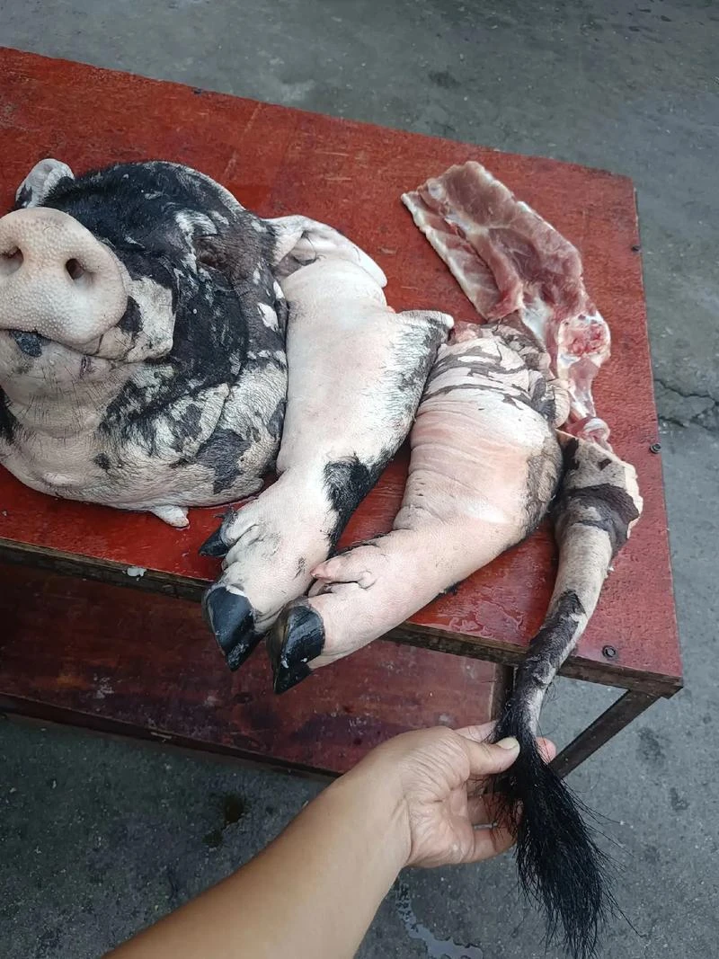 【精品土猪肉后猪脚】一只5-7斤贵州圈养熟食土猪多汁多油顺丰冷链