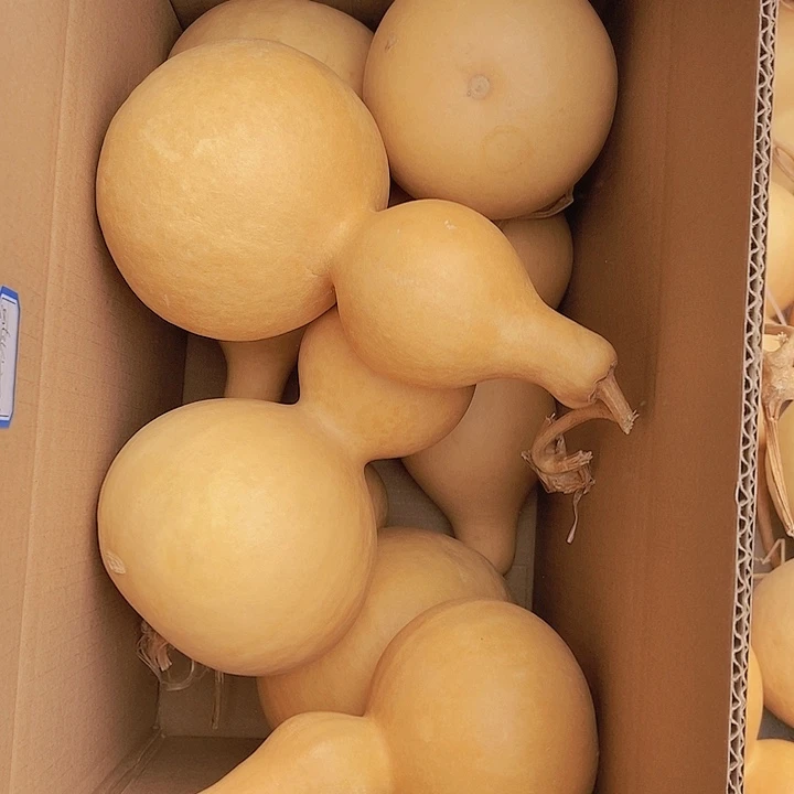 北冥有鱼恭喜发财