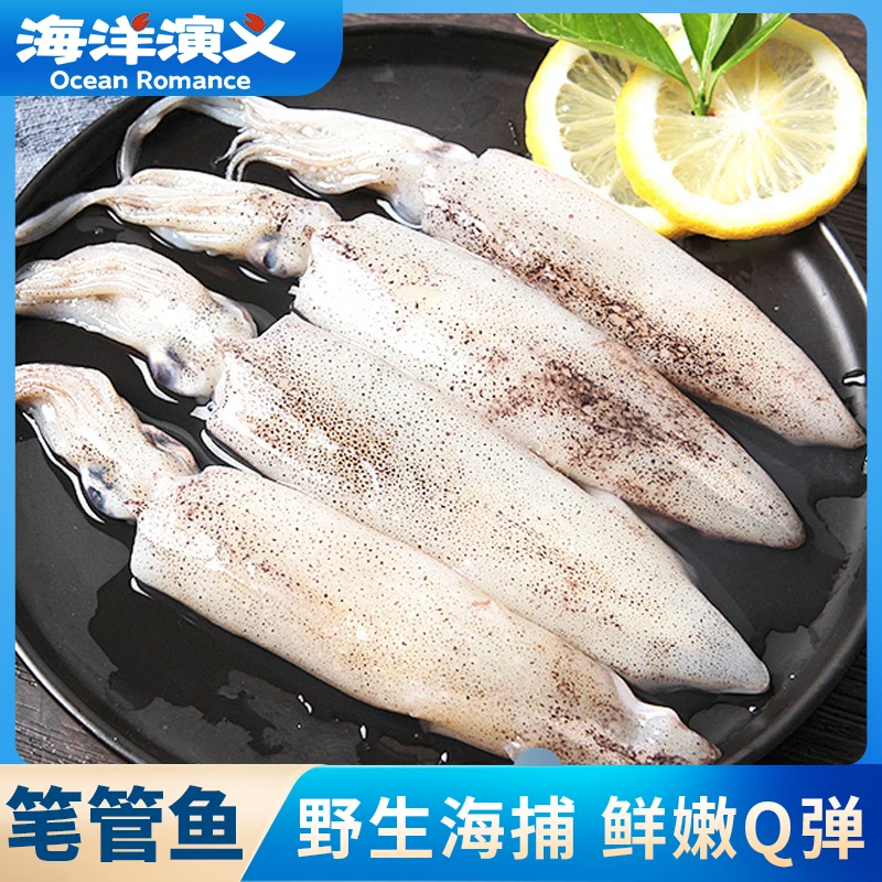 海洋演义 笔管鱼 400g/包*5包