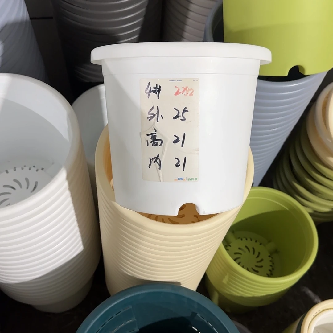 微瑕4号8个无托，白色